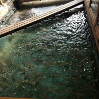 河太郎 中洲本店 - 