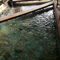 河太郎 中洲本店 - 