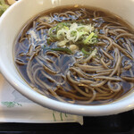 八ヶ岳パーキングエリア（下り線）赤岳 - 