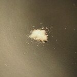 プレゼンテ スギ - High&Low