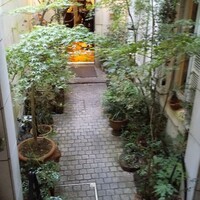 中國名菜 龍坊 代官山店 - 