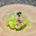 イチリン ハナレ - 2021.9.  アオリイカ