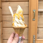 ごーる堂 ソフトクリーム直営店 - みかんソフトクリーム