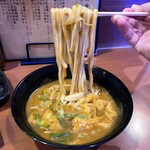 Kamoya - かもや特製カレーうどん 750円