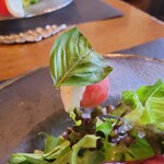 フォセッタ - 前菜盛り合わせ：カプレーゼ