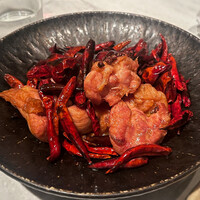CINA New Modern Chinese - 