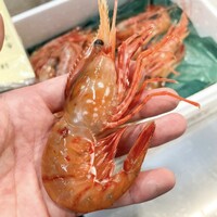 毎朝豊洲市場に出向き仕入れを行なっています