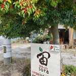 精進カフェ宙 - お店の前の赤い実の木は…クロガネモチの木…かな？^^