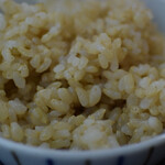 kokocara - Brown Rice