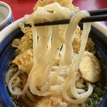 本格手打うどん おか泉 - ひや天おろし（麺リフト）