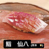 鮨　仙八