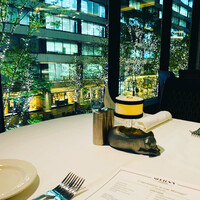 Morton's The Steakhouse - 11月11日より丸の内のイルミネーションが点灯いたします！