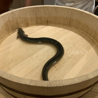 三宅輝 - 
