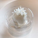 プレゼンテ スギ - 