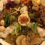 ニッポンカリー オルタナ - 