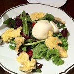 トラットリア コルポ デラ ストレーガ - ポルチーニのフリット、テネレッラチーズ　ルッコラのサラダ仕立て