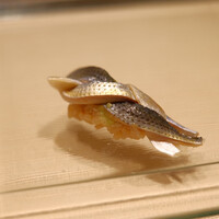 天寿し 横浜店 - 愛媛のコハダ