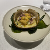 レフェルヴェソンス - 