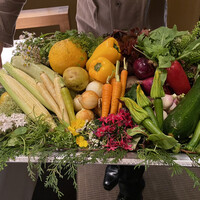 レフェルヴェソンス - 