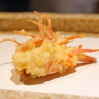 日本橋 蕎ノ字 - 車海老の頭　①