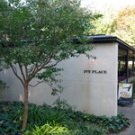 IVY PLACE - 