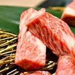 Oumiushi Yakiniku Niku Tatsu - 