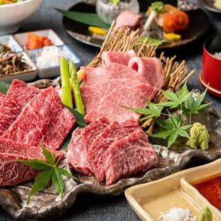 様々な部位の松阪牛を存分に味わえるお得なコース
