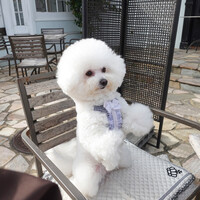 レストラン ラ・マーレ - おだやかな秋晴れで〜♬