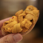 ペレグリーノ - 