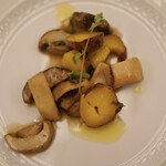 ペレグリーノ - 