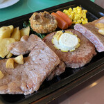 レストラン グリーンパーラー - 中央がヒレ肉で、左右がサーロインという、意味の分からない盛り付け。