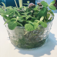 オトワ レストラン - 