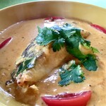 スプーンソング - 今日のカレーはマッパス。南インドのココナッツカレー(マイルド系)です。