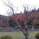 The　dining　YOSA八右衛門 - 裏の風景