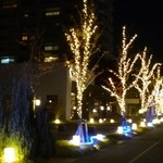2012.12 外はきれいにライトアップされてました♪