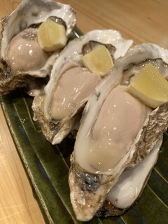 Kagurazaka Uoteru - 生牡蠣
