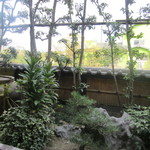 Tomimatsu Unagiya - お座敷から見える中庭