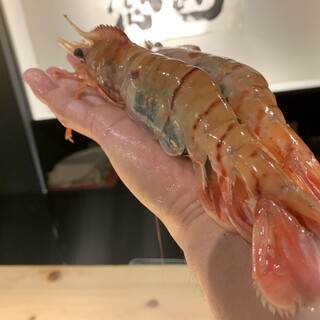 鮓ぱんち_1