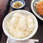 Tonkatsu Hamakatsu - ご飯