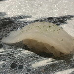 鮨 天使 - アオリ