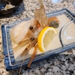 まぐろ人 新仲見世店 - 