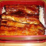 うな重接写（2007.5.2）