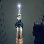 シェイク ツリー ダイナー - 