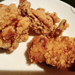 Kokou No Karaage - 