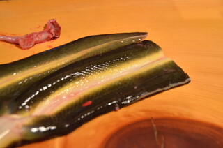 Echigoya - 岡山県児島湖産天然青鰻