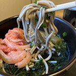 平家の茶屋 - 料理写真:玉ねぎ天ぷら、蕗