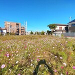 ガリレオ 八兵衛 - 私の手