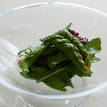 レストラン オオツ - 