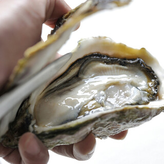 東京オイスターバー&カフェ_2