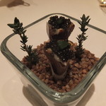 フロリレージュ - 